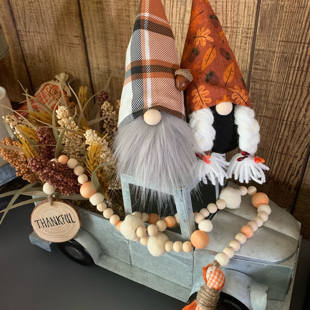 1 pair Fall 🍂 seasonal gnomes